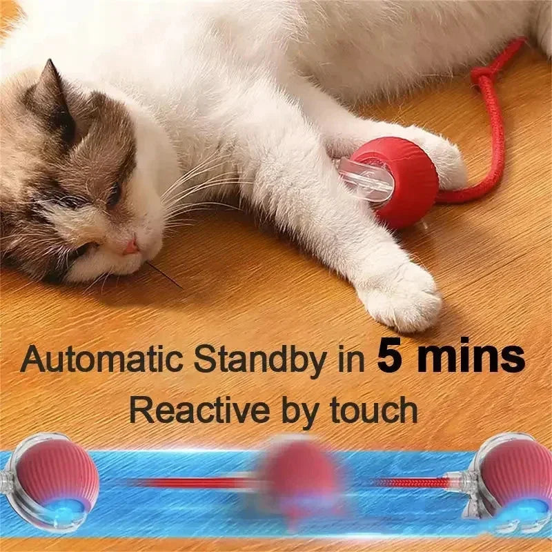 Keep Your Pet Entertained for Hours with the TailChaser Smart Pet Ball