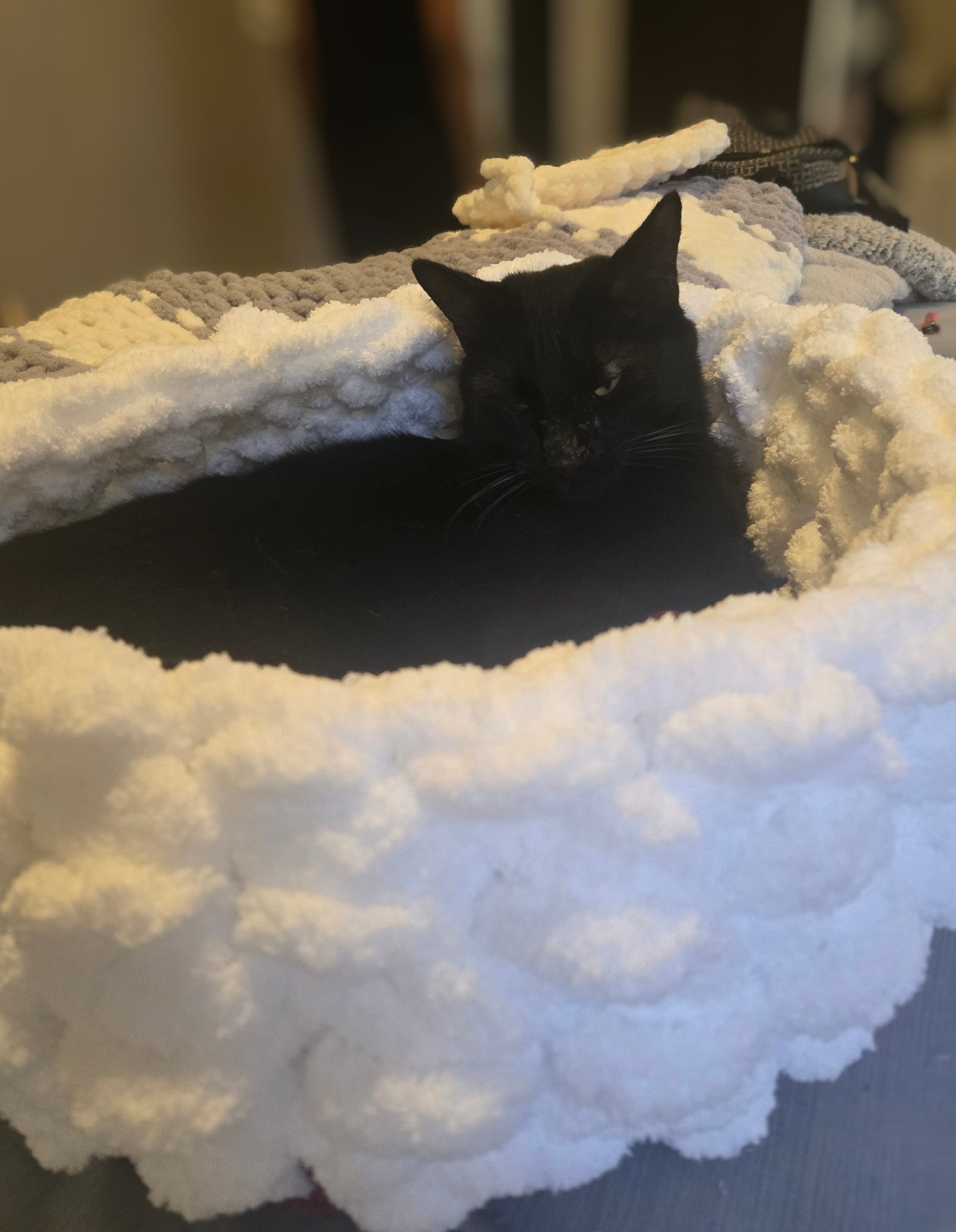 The Cloud Hand Knit Plush Pet Bed by Milton & Neo