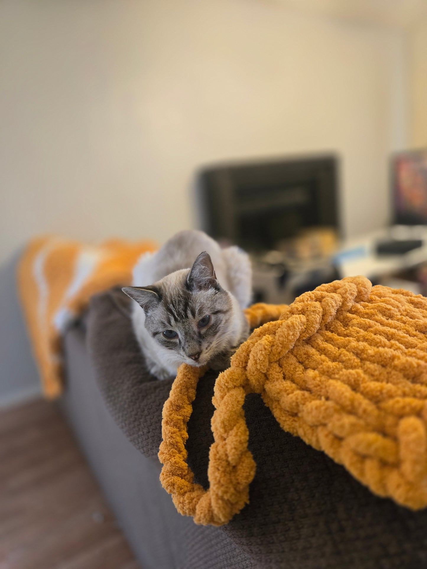 Puffin Puff Chunky Knit Purse