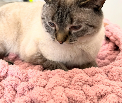 The Cloud Hand Knit Plush Pet Bed by Milton & Neo