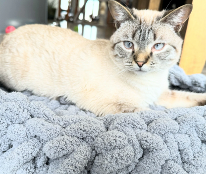 The Cloud Hand Knit Plush Pet Bed by Milton & Neo