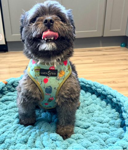 The Cloud Hand Knit Plush Pet Bed by Milton & Neo