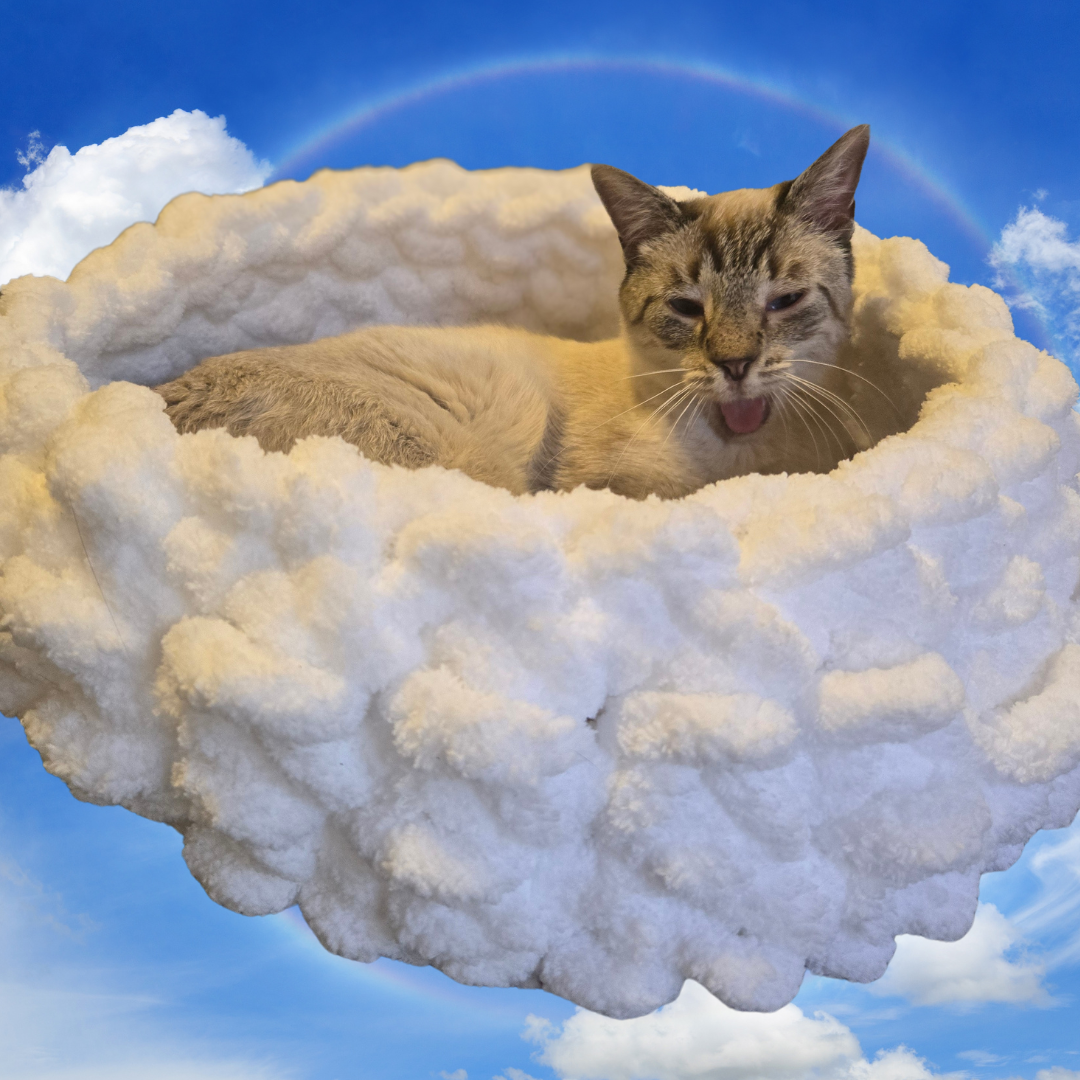 The Cloud Hand Knit Plush Pet Bed by Milton & Neo